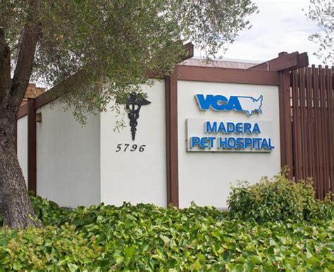 vca pet hospital